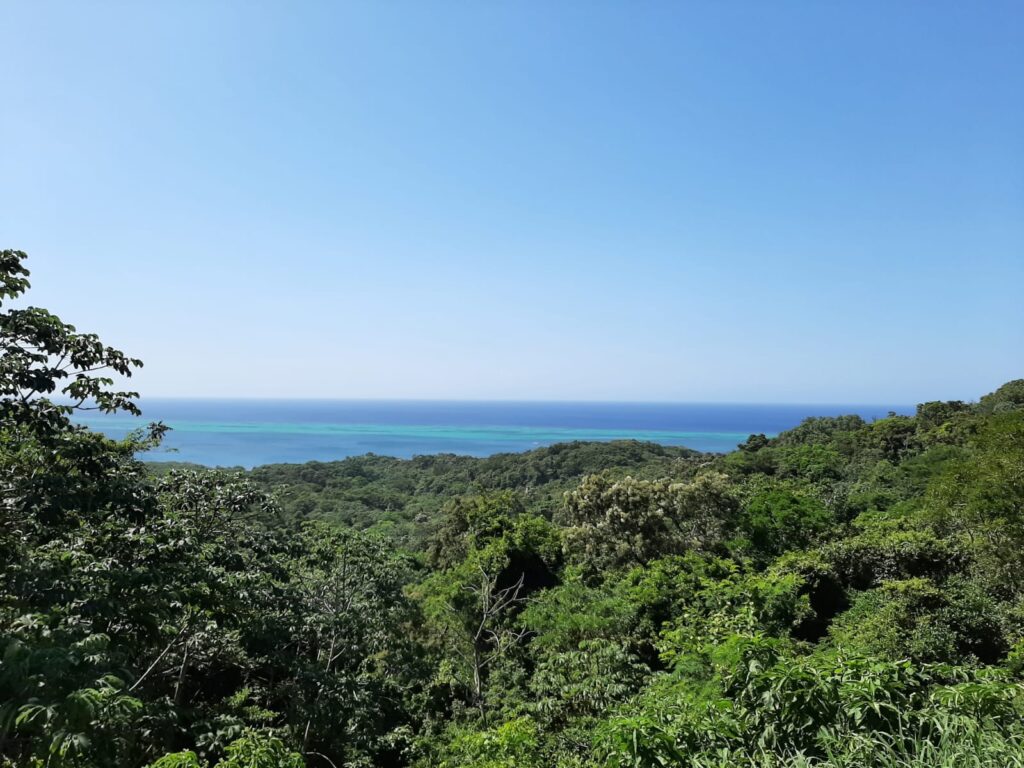 roatan, Caribe, Honduras, barco, crucero, mar, viajes, niños, viajes familia, 