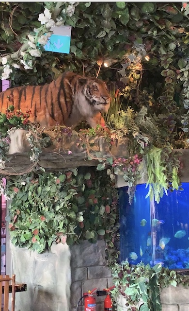 Rainforest café.