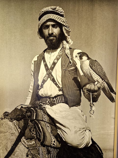 Exhibición Fuerte Al Jahli.