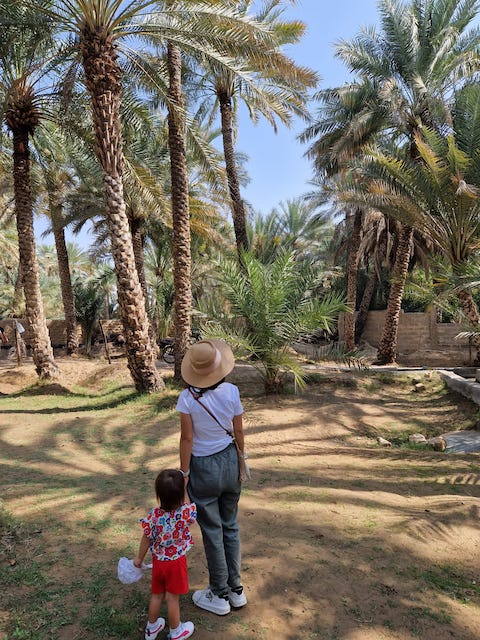 oasis Al Ain