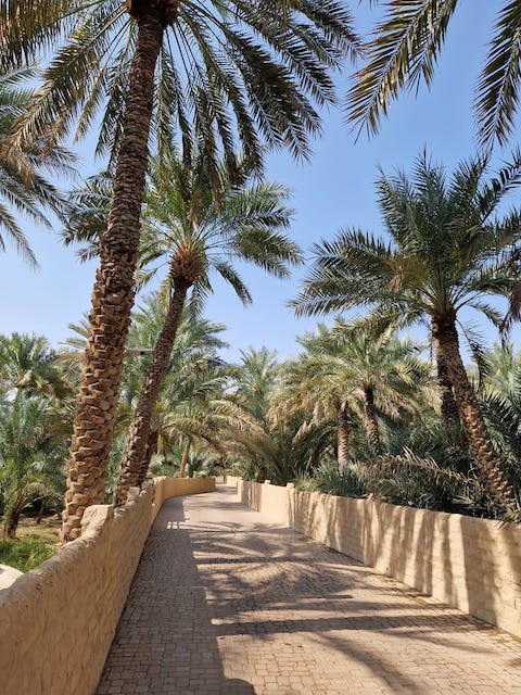 Oasis Al Ain.