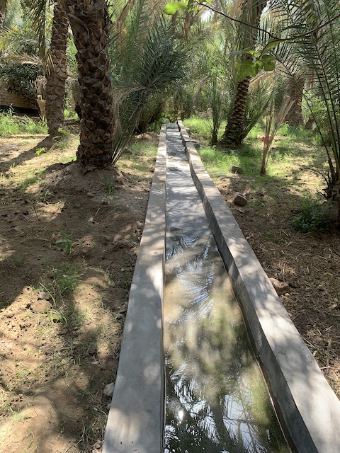 Riego Oasis Al Ain.