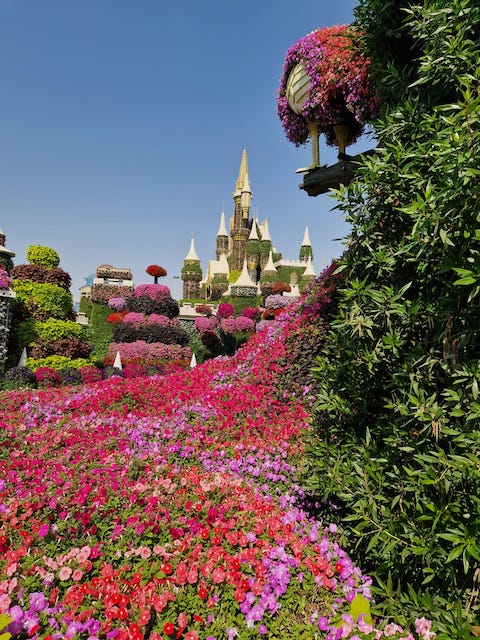 Miracle Gardens.