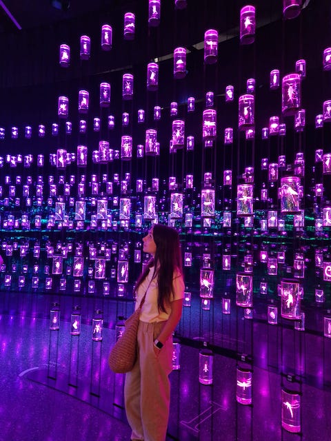 natwillyfog museo del futuro dubai