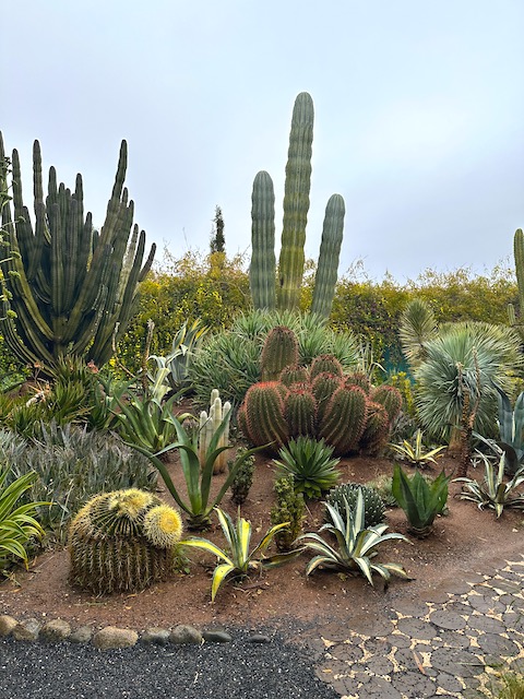 cactus Jardín Anima. Día 3 en Marrakech.