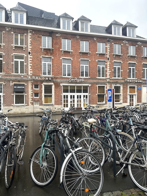 Leuven Natwillyfog. Qué ver en Lovaina.