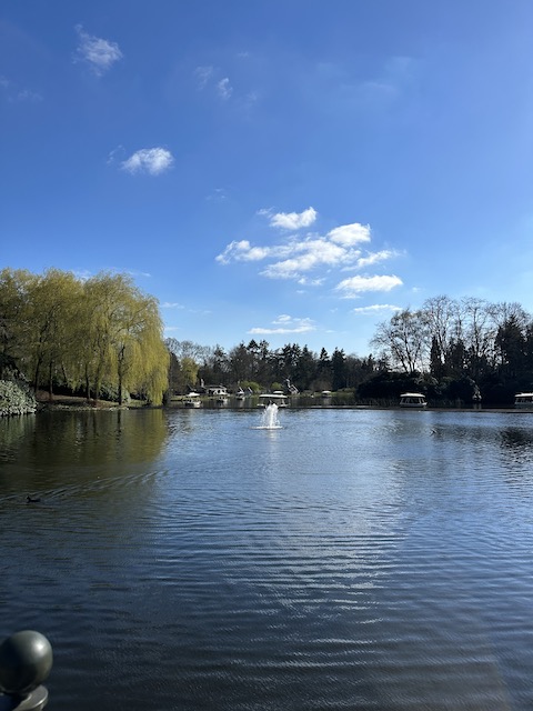 Cómo visitar Efteling en 1 día.