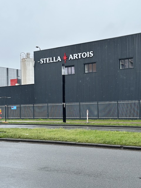 Stella Artois. Qué ver en Lovaina en 1 día.