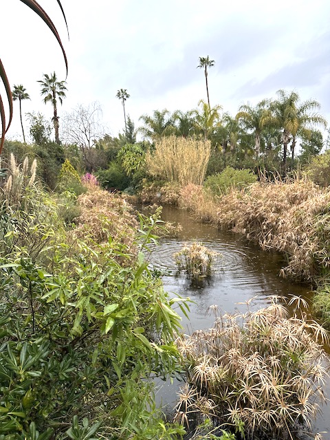 Anima Garden Marrakech.