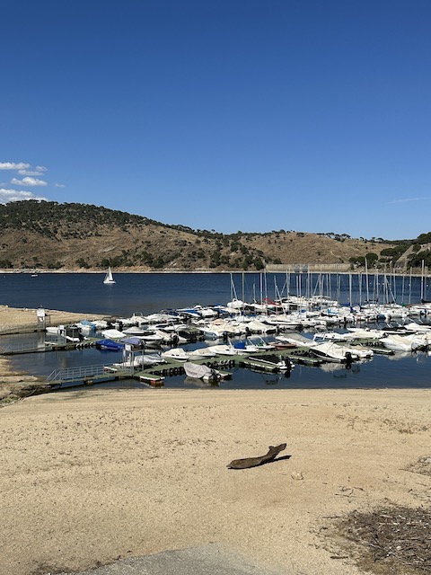 Pantano de San Juan embarcadero.