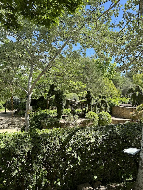bosque encantado San Martín de Valdeiglesias