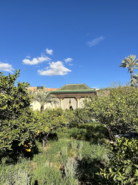 Jardin Secreto. Imprescindibles que ver en Marrakech.
