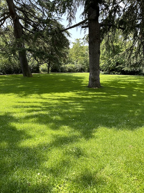 Jardín inglés capricho
