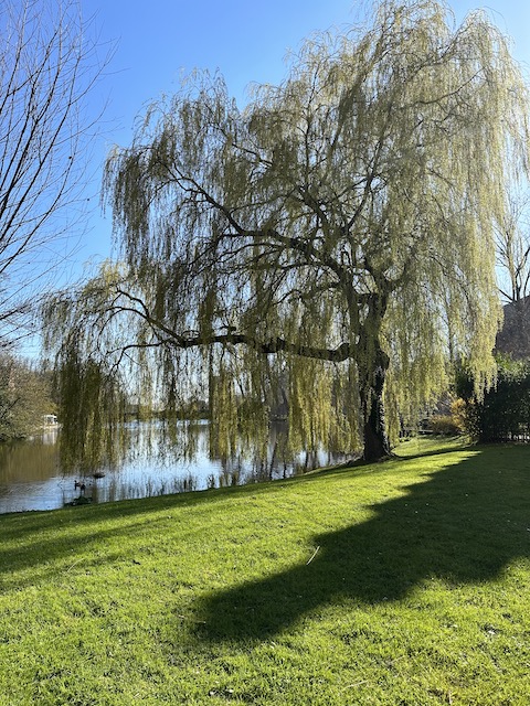 Parque Minnewater.