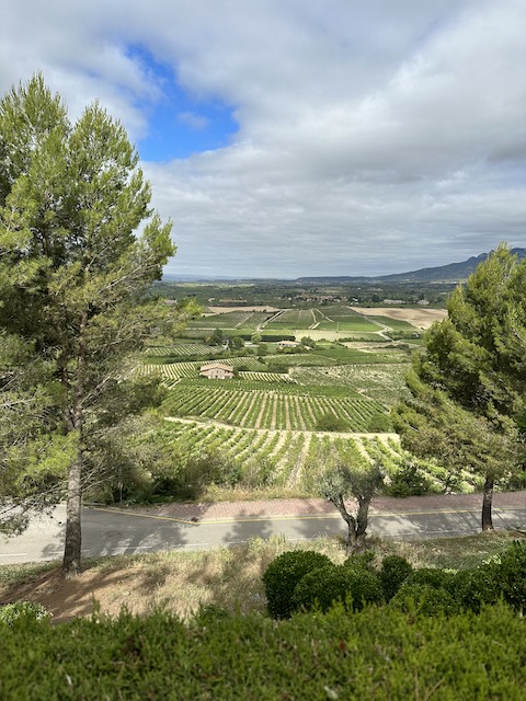 Viñedos de La Guardia, Rioja Alavesa.
