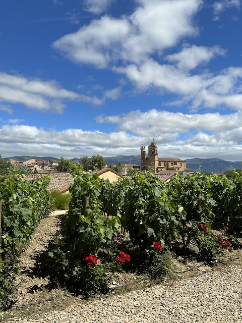 Viñedos Marqués de Riscal. Ruta por La Rioja Alavesa en 2 días.