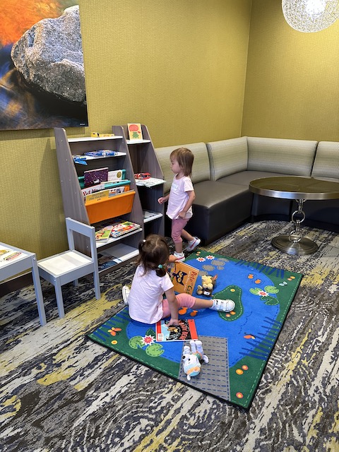 Springhill Suites by Marriot Fishkill. zona infantil
