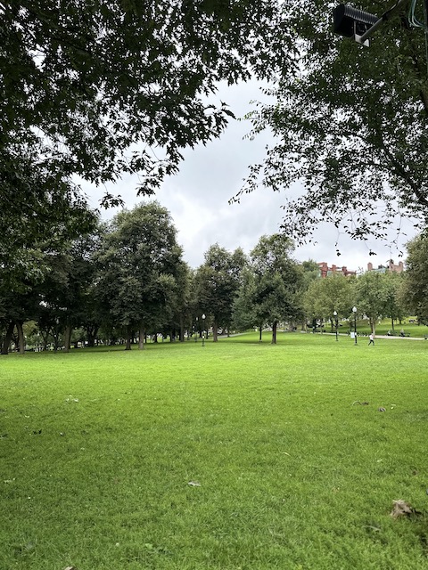 Boston Common.