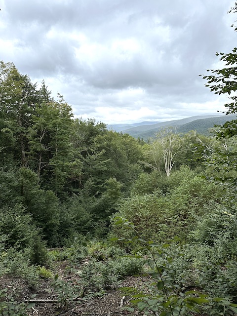 Paisaje Franconia State Park.