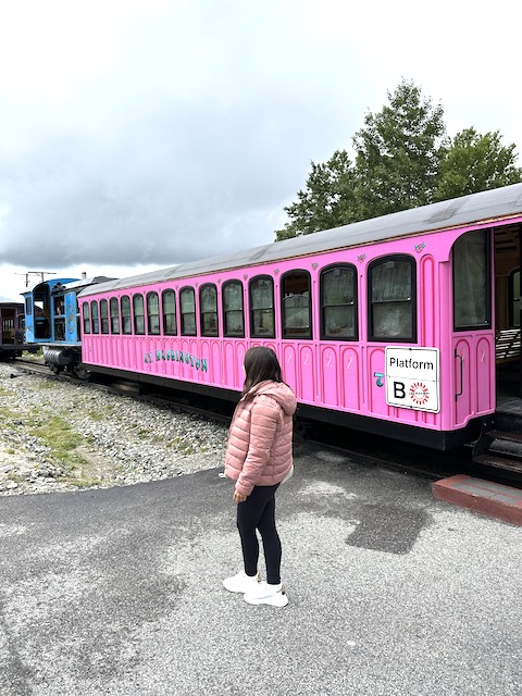 natwillyfog. Cómo visitar el tren al Monte Washington en las White Mountains.