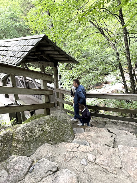 Sentinel Bridge 2
