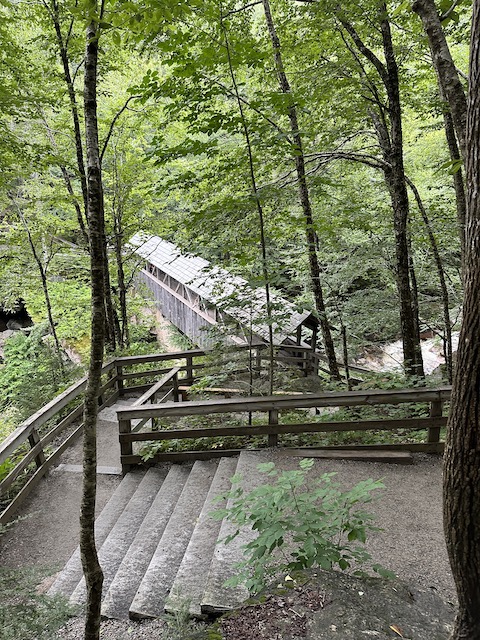 Sentinel Bridge Flume Gorge.