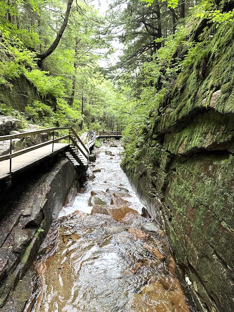 puente sobre el desfiladero Flume Gorge.