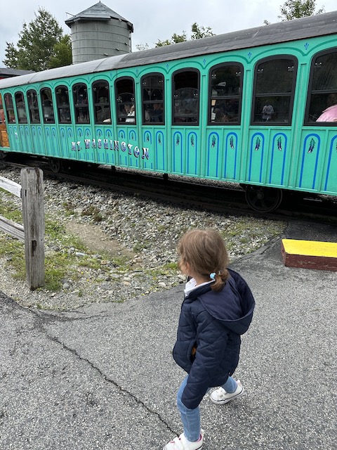 Tren mw Olivia