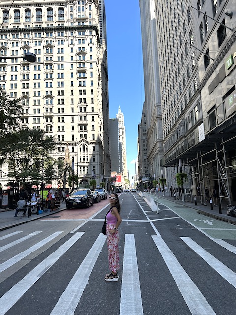 NATWILLYFOG Natalia Wall Street.