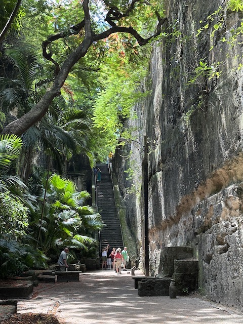 Escaleras de la Reina. Qué ver en Nassau en 1 día.