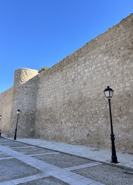 Murallas Brihuega.