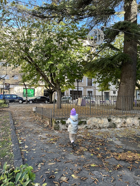 Parque Brihuega.