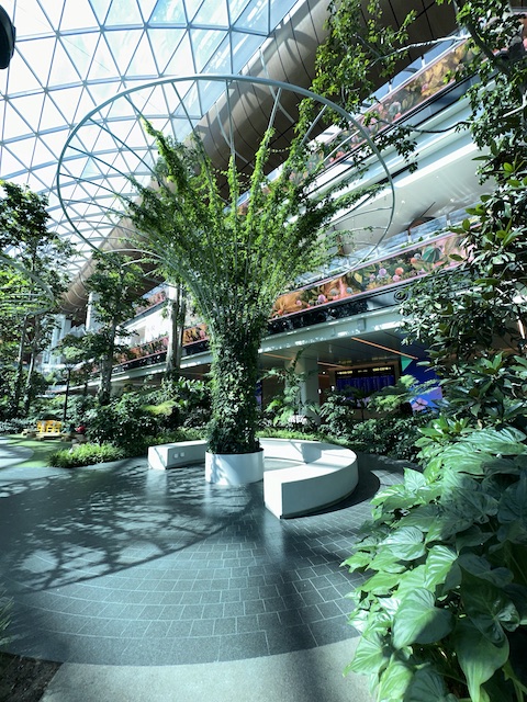 Aeropuerto de Doha.