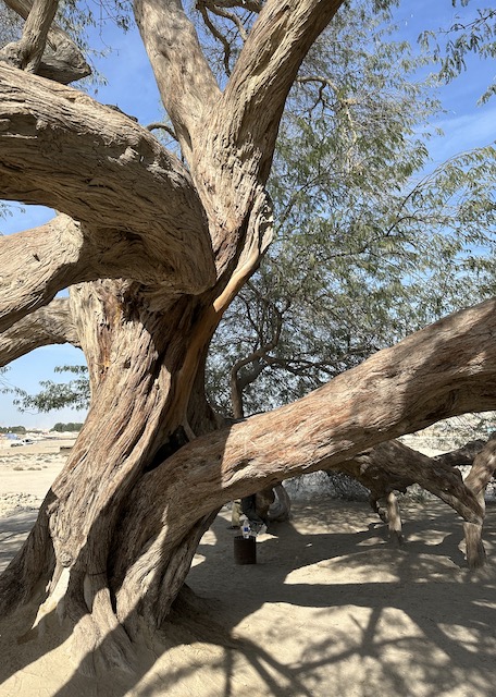 árbol de la vida Bahréin.