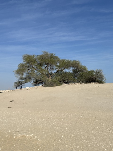 Árbol de la vida Bahréin.
