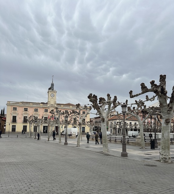 que ver en Alcalá de Henares.
