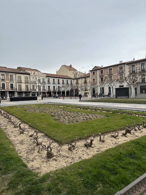 Plaza Cervantes alcalá de Henares.