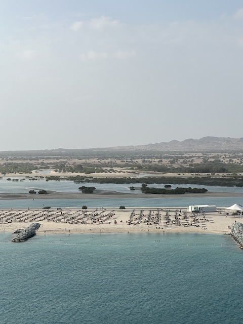 Vistas Sir Bani Yas.