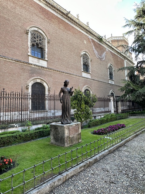 Alcalá de Henares natwillyfog