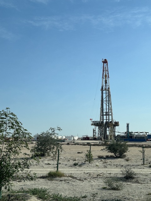 campos petróleo Bahréin.
