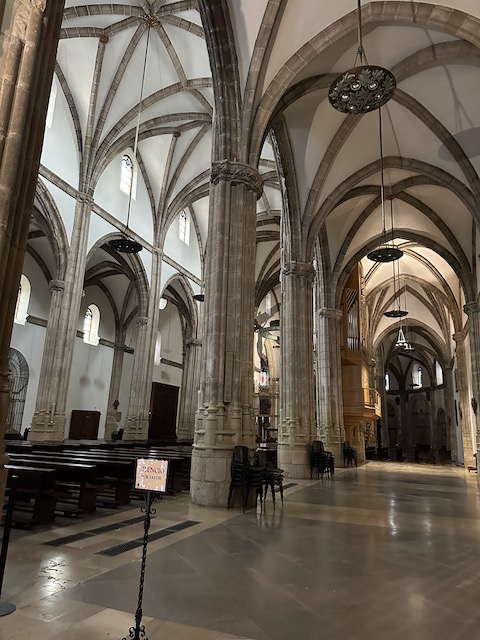 catedral magistral Alcalá de Henares

