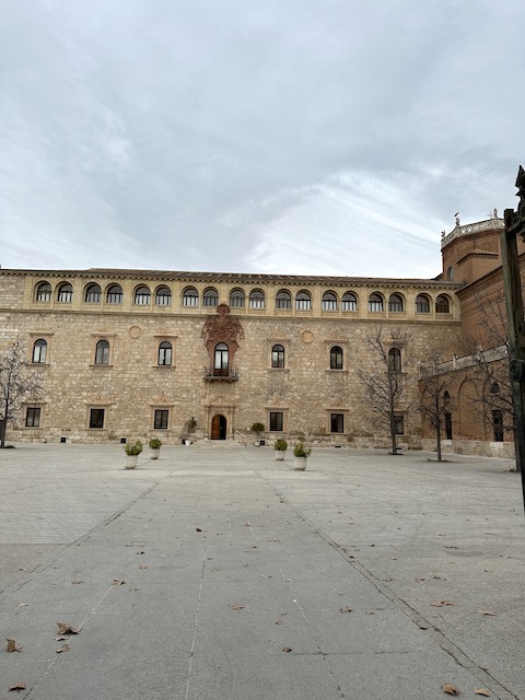 Palacio arzobispal alcalá 