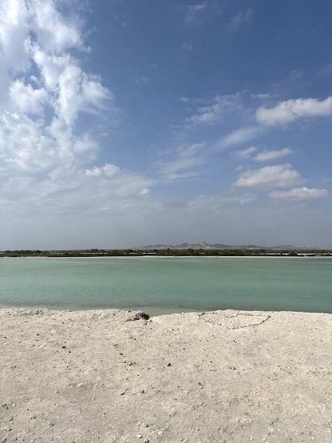 playa Sir Bani Yas