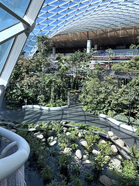 aeropuerto de Doha Catar