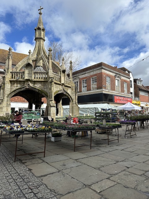 mercado salisbury