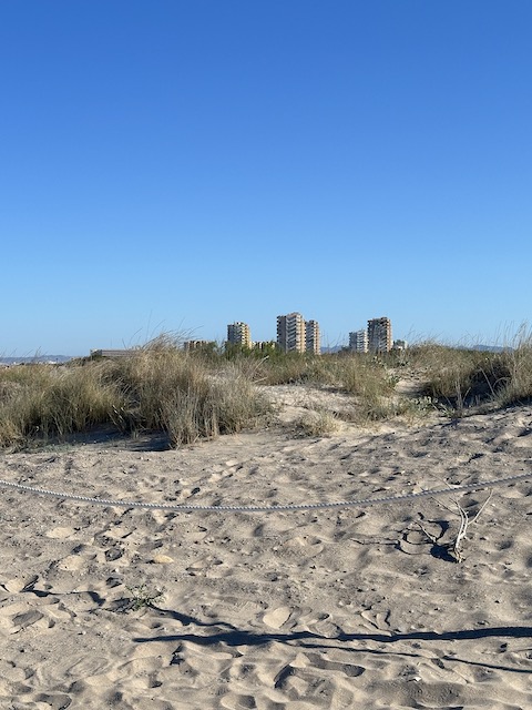 Dunas el SALER
