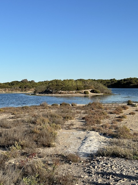 Estanque del Puyol la Albufera Valencia.