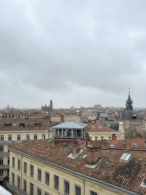 Mirador de las Galerías Lafayette Toulouse
