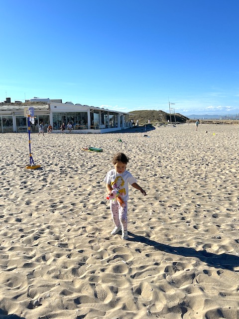 Olivia playa del Saler