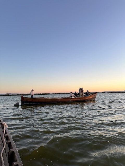 Puesta de sol albufera